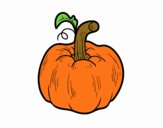 Una calabaza cucurbita