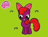 Apple Bloom