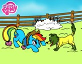 Applejack y Winona