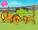 Applejack y Winona