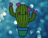 Cactus corazón