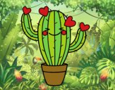 Cactus corazón