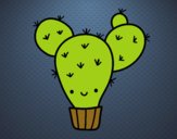 Cactus nopal