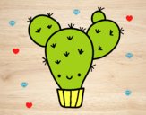 Cactus nopal