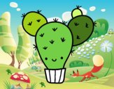 Cactus nopal