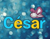 César