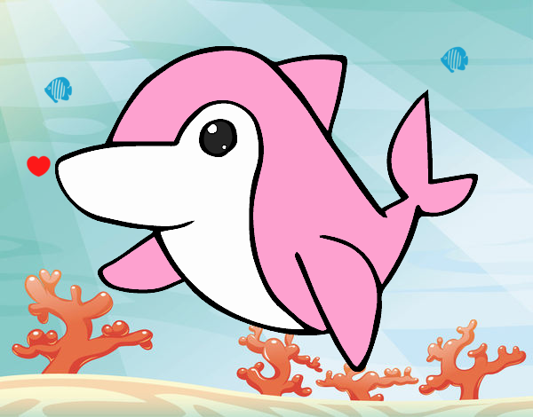 delfin rosa