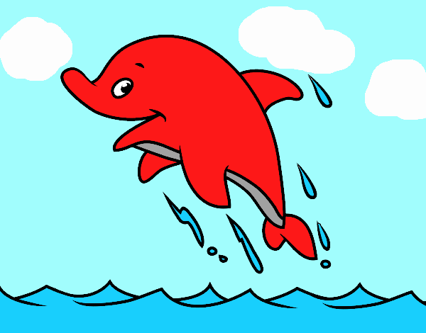el delfín rojo 