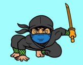 Ninja japonés