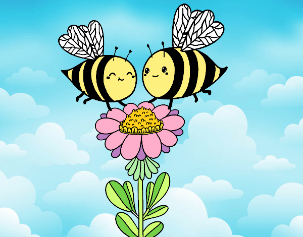 Pareja de abejas