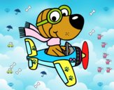 Perro piloto