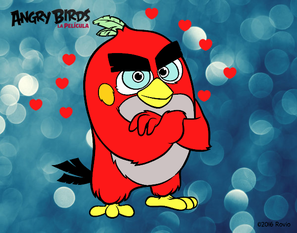 Red de Angry Birds