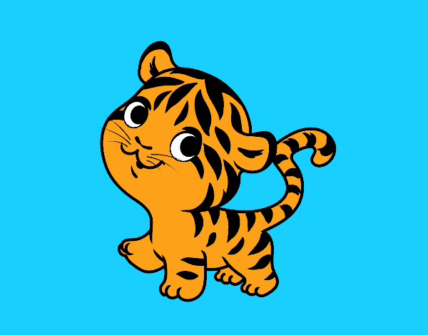 Tigre bebé