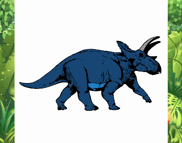 Triceratops 1