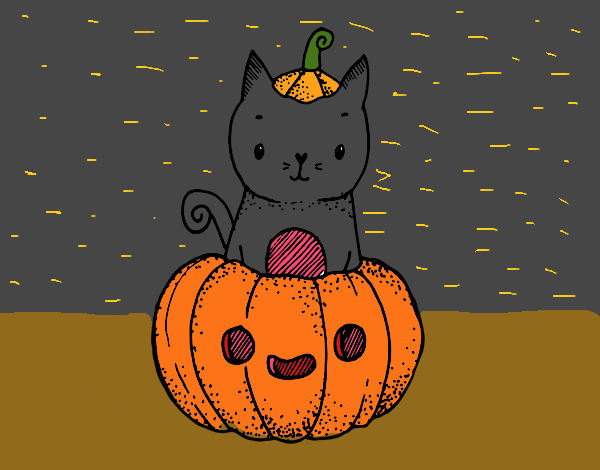 Un gatito de Halloween