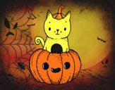 Un gatito de Halloween