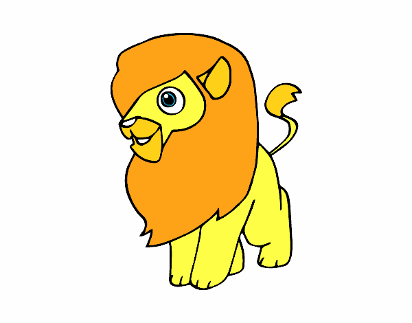 Un león