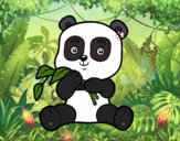 Un oso panda