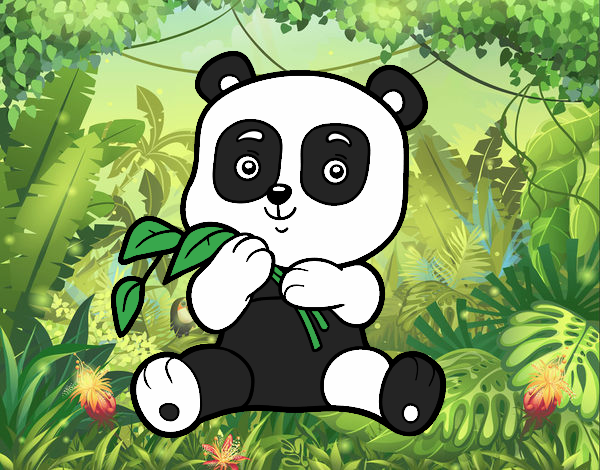 Un oso panda