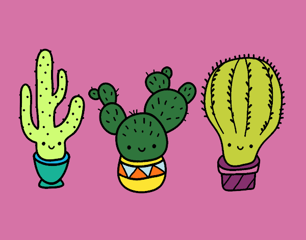 3 mini cactus