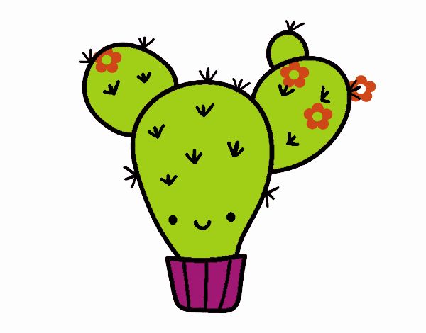 Cactus nopal