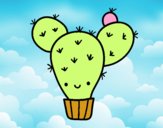 Cactus nopal