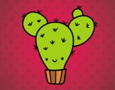 Cactus nopal