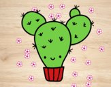 Cactus nopal