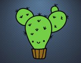 Cactus nopal