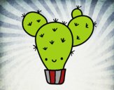 Cactus nopal