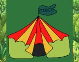 Circo