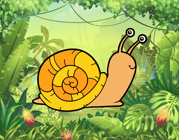 El caracol