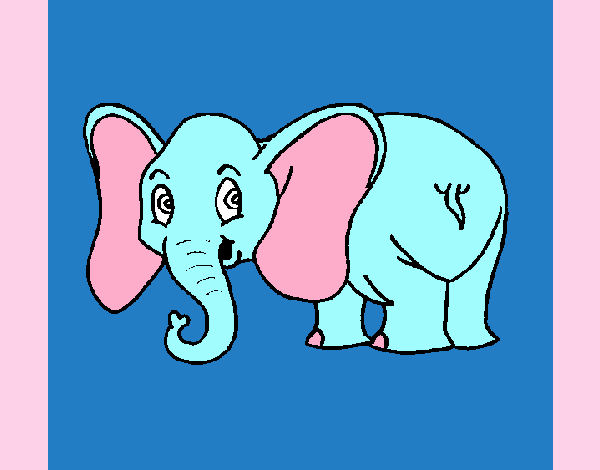 Elefante pequeño