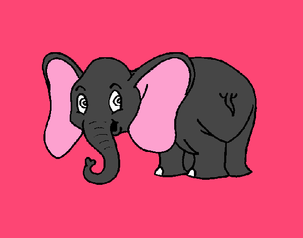 Elefante pequeño