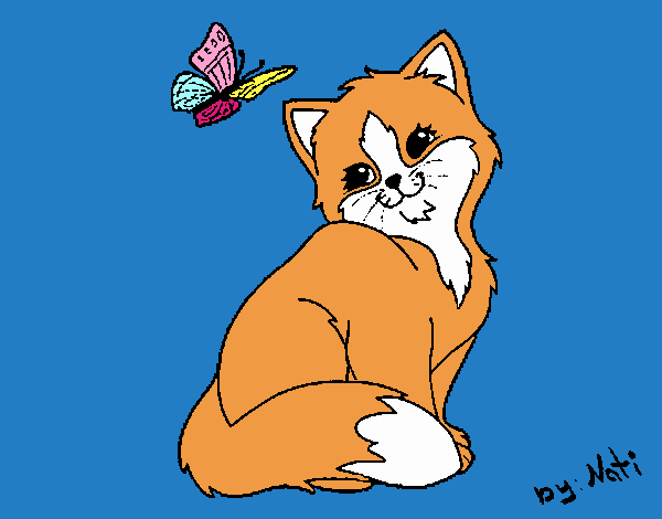 gatito zorro con mariposa