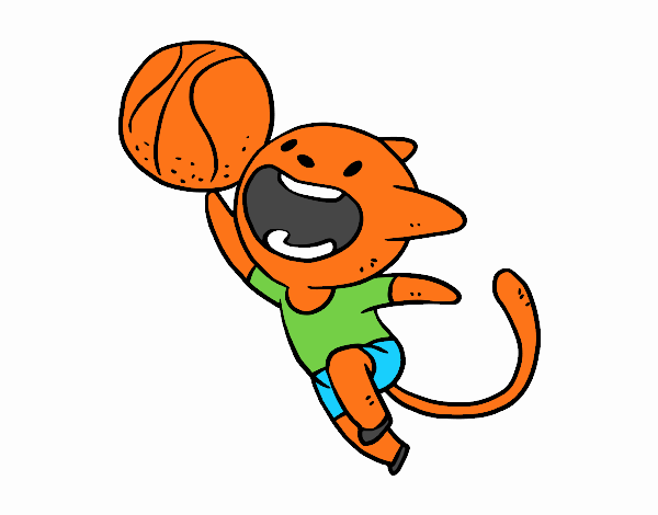 Gato jugando a baloncesto