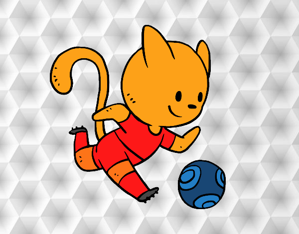 Gato jugando a fútbol