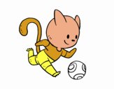 Gato jugando a fútbol