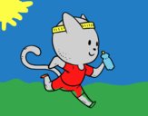 Gato runner