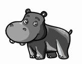 Hipopótamo joven