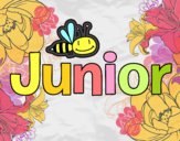 Junior