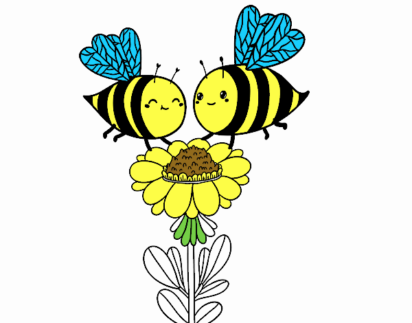 Pareja de abejas