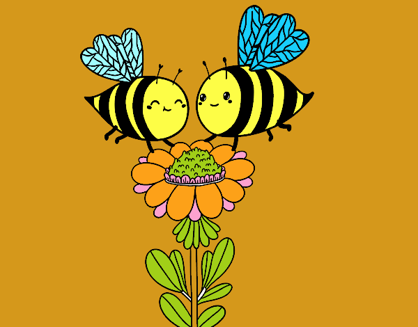 Pareja de abejas