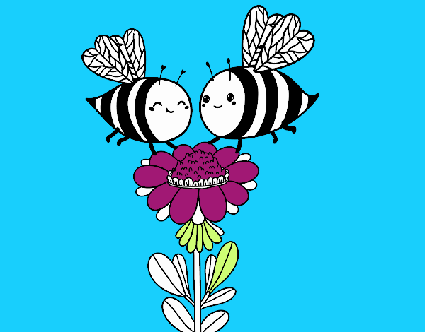 Pareja de abejas