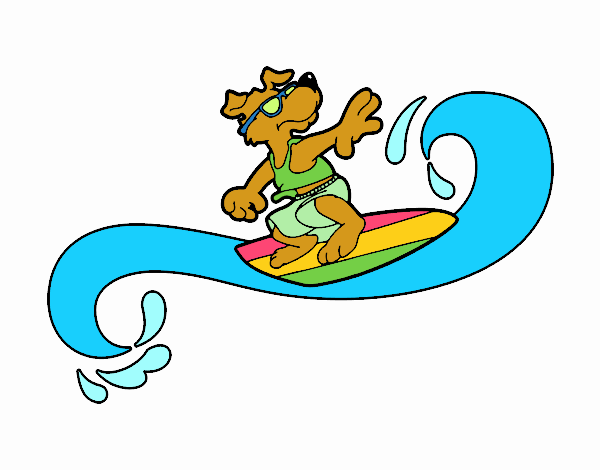 Perro surfeando