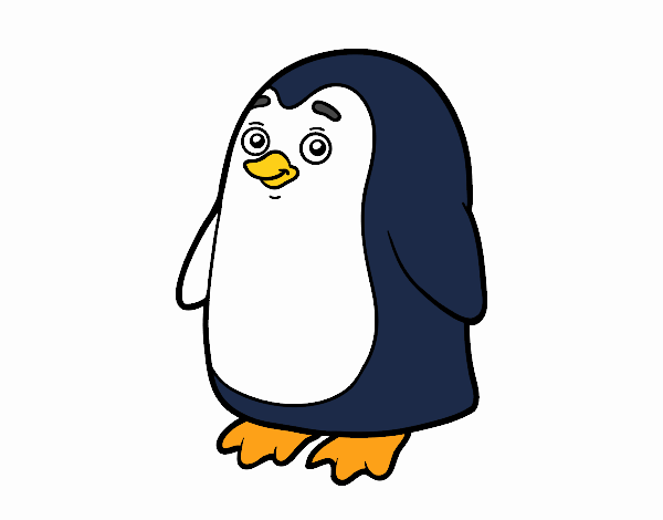 Pinguino