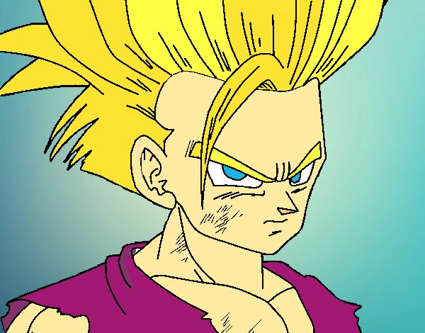 gohan 