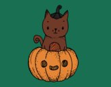 Un gatito de Halloween