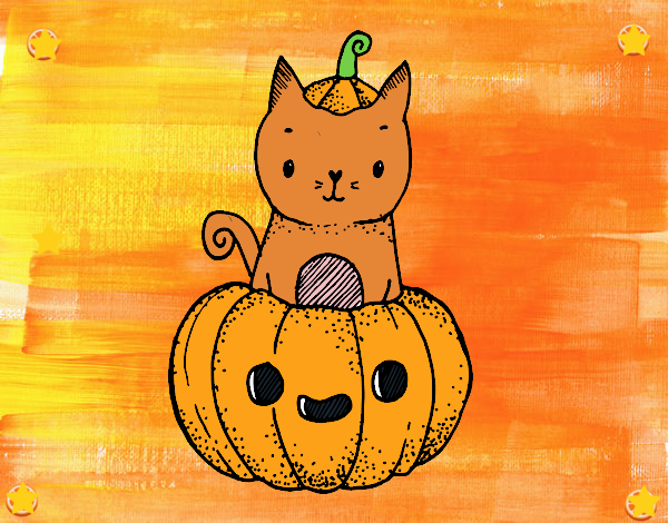 Un gatito de Halloween