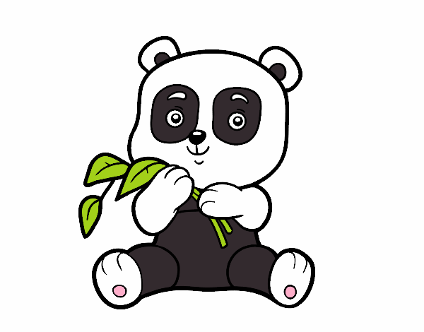 Un oso panda